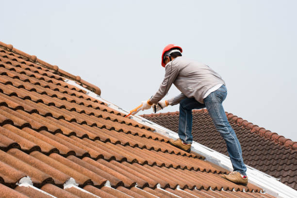 Best Rubber Roofing (EPDM, TPO)  in Broadlands, VA